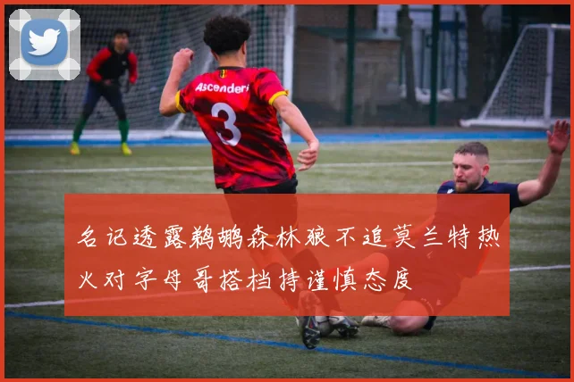 名记透露鹈鹕森林狼不追莫兰特热火对字母哥搭档持谨慎态度