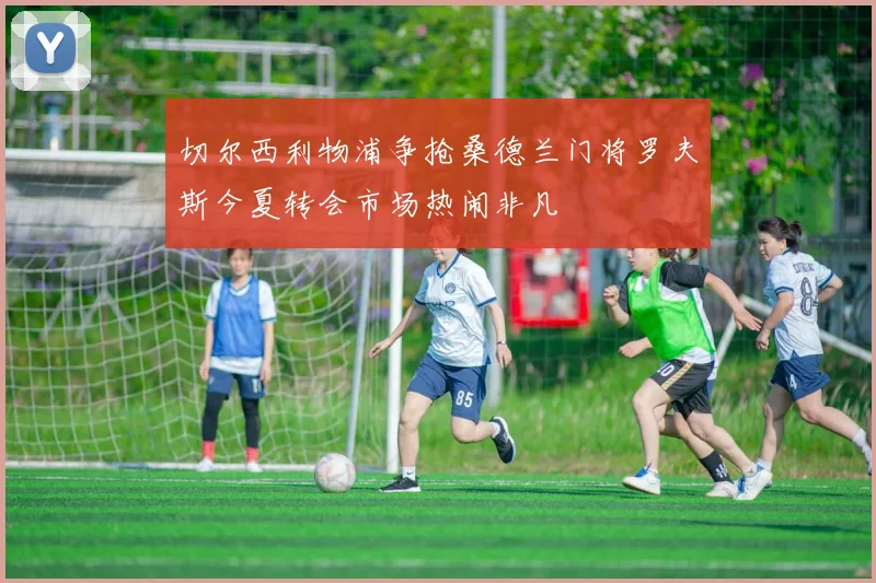 切尔西利物浦争抢桑德兰门将罗夫斯今夏转会市场热闹非凡