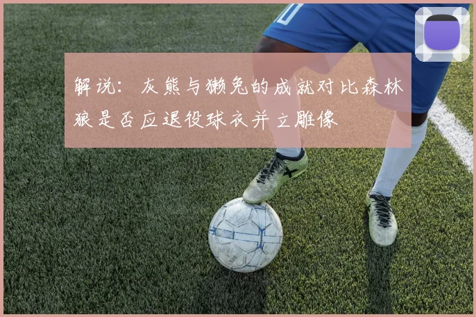 解说：灰熊与獭兔的成就对比森林狼是否应退役球衣并立雕像